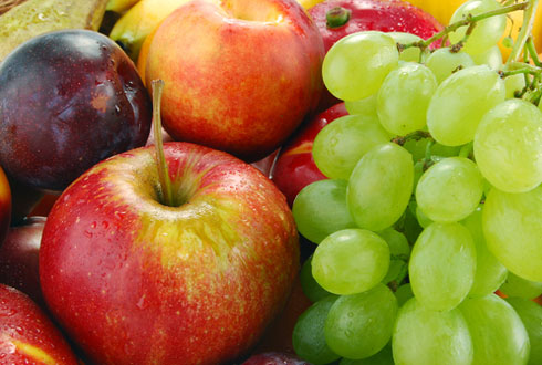 Вітаміни народу - гроші інвестору: представляємо бізнес-план сховища яблук і винограду